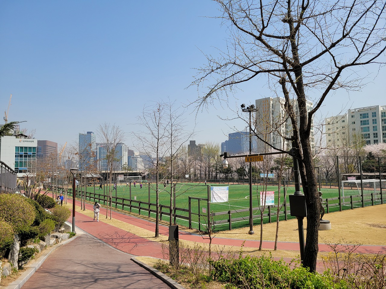 对于山东泰