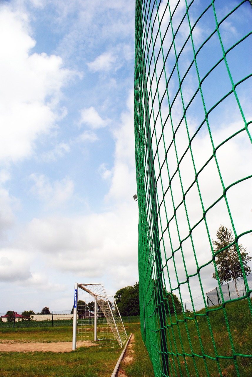 多学生对羽 多学生对羽