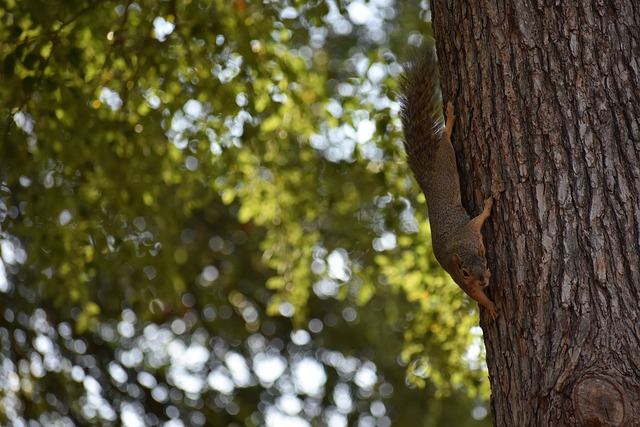 被认为是更 被认为是更