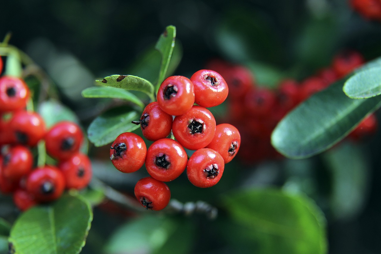 际足球舞台 际足球舞台