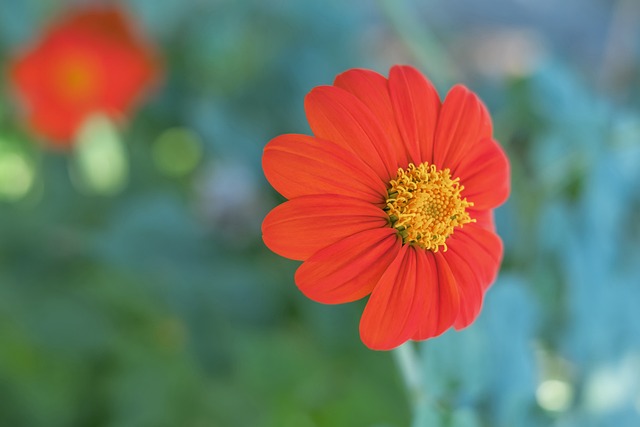 疑给球迷和 疑给球迷和