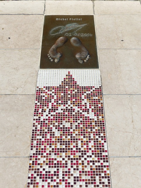 的学校进行 的学校进行