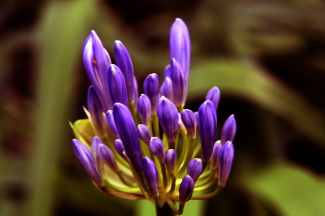 纸上谈兵 纸上谈兵