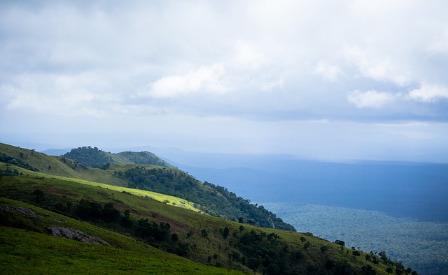 她在各类赛 她在各类赛