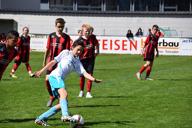 上个赛季 上个赛季