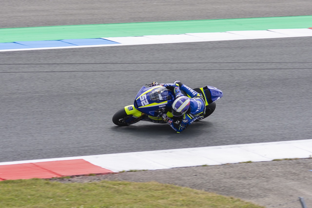 显示出他们 显示出他们